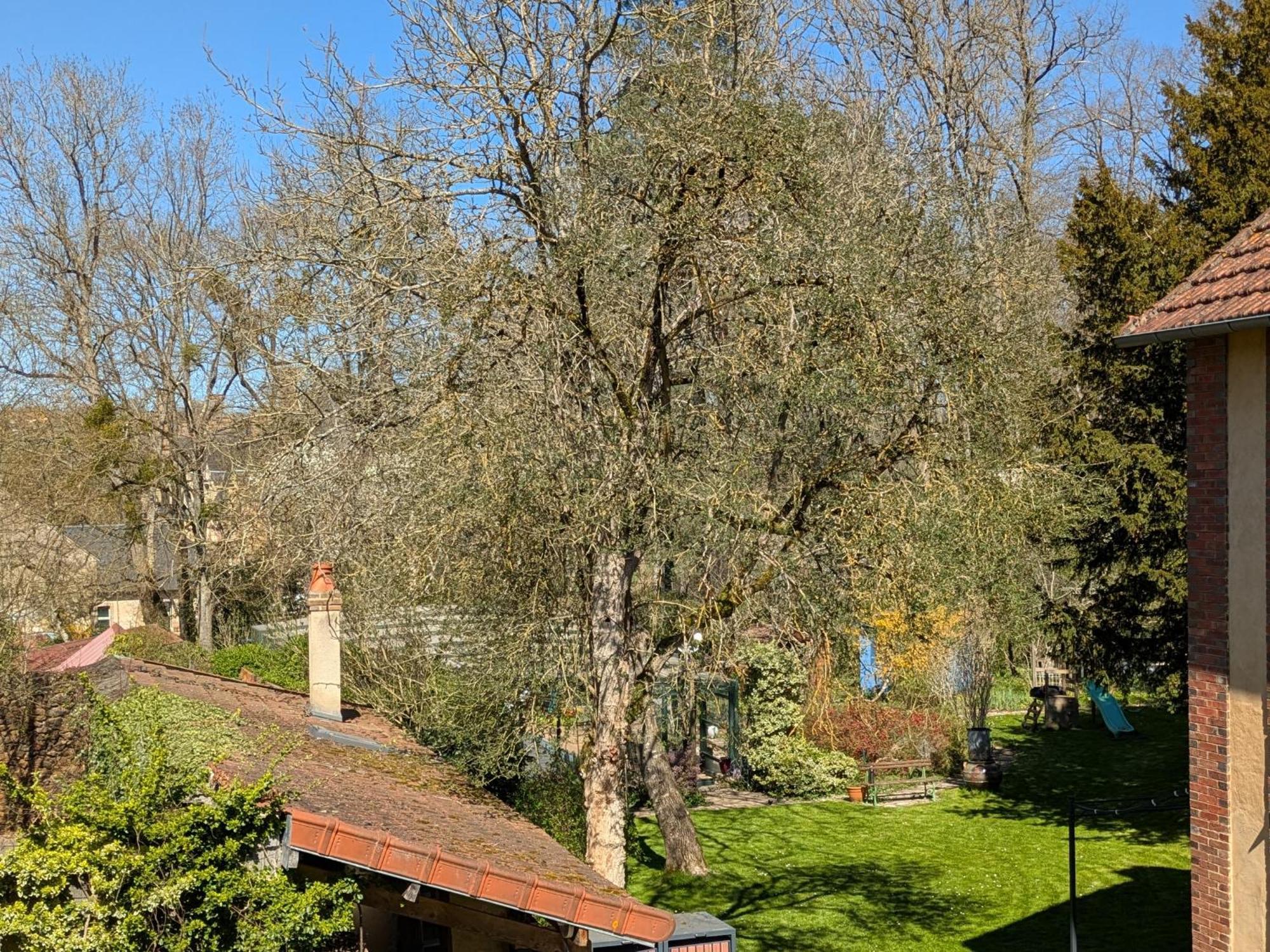 La Maison D'A Cote Saint-Amand-en-Puisaye Exterior foto